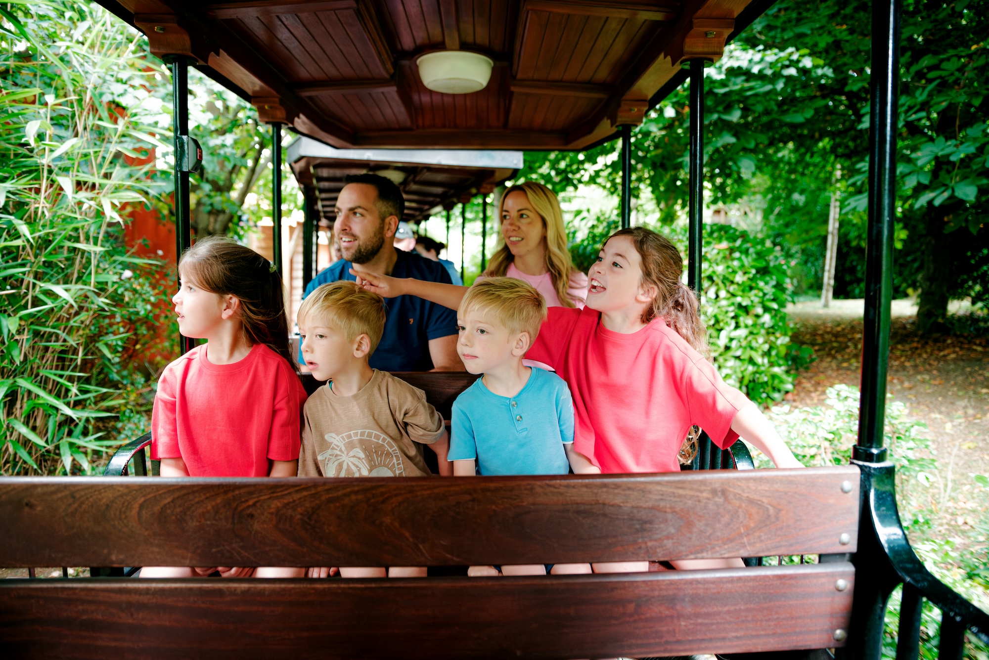 Steam Train Express