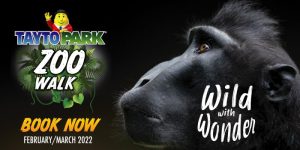 zoo walk poster with wild with wonder caption