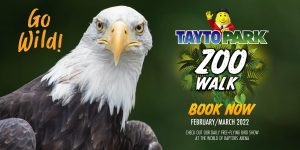 zoo walk poster image with hawk