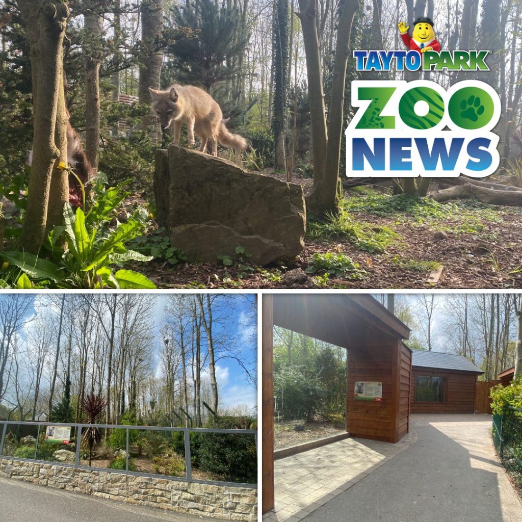 zoo news images of emerald park