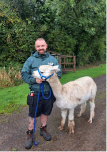 zookeeper walking an alpaca on a leash