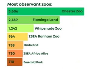 a graph of zoo observation results