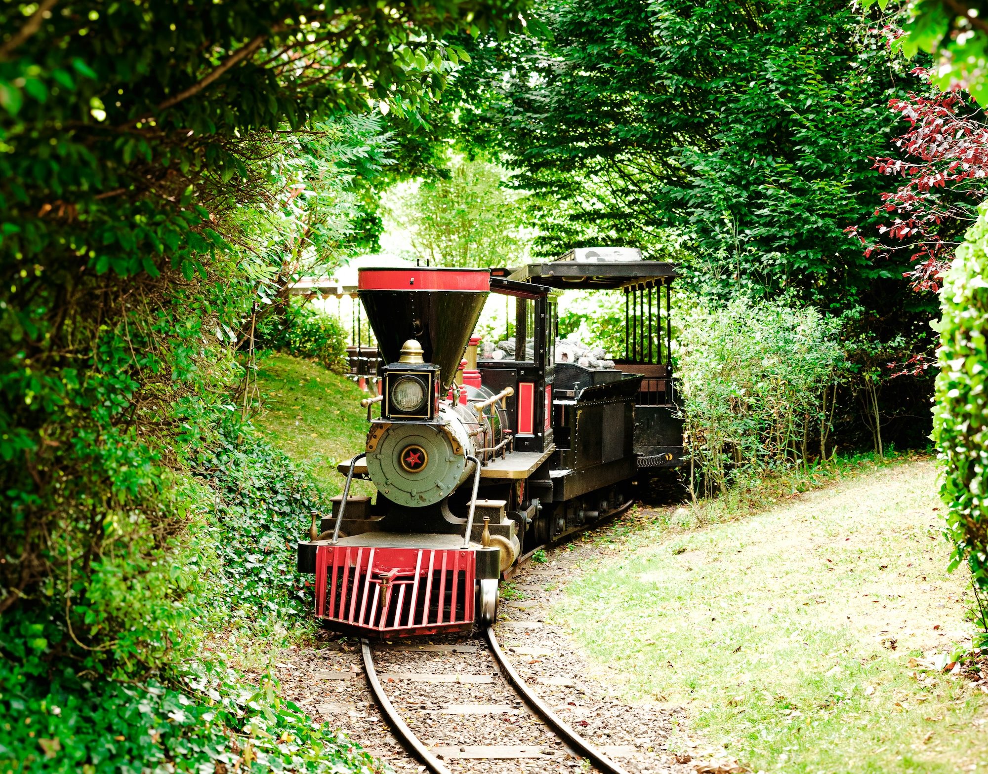 Steam Train Express